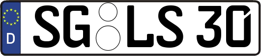 SG-LS30