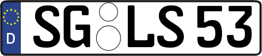 SG-LS53