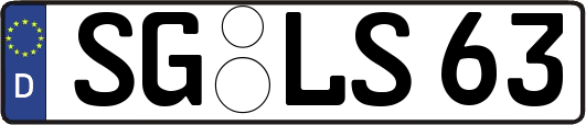 SG-LS63