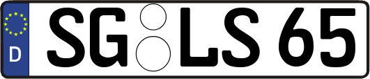 SG-LS65