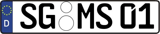 SG-MS01