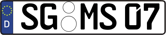 SG-MS07