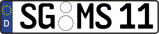 SG-MS11