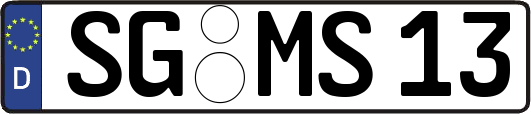 SG-MS13