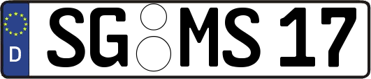 SG-MS17