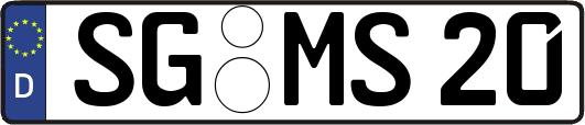 SG-MS20
