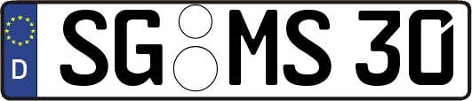 SG-MS30