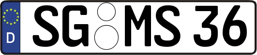 SG-MS36