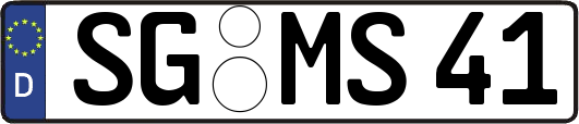 SG-MS41