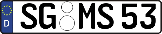 SG-MS53