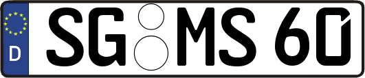 SG-MS60