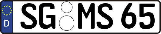 SG-MS65