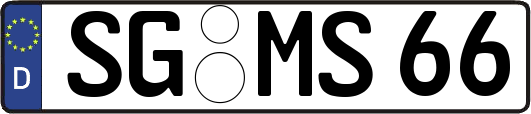 SG-MS66