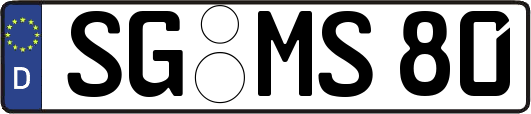 SG-MS80