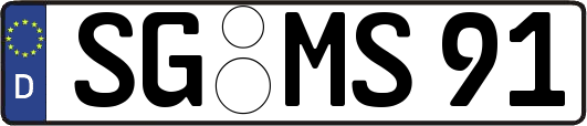 SG-MS91