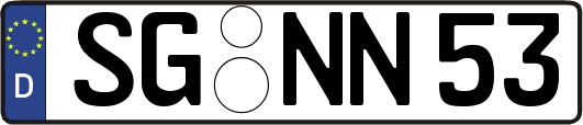 SG-NN53