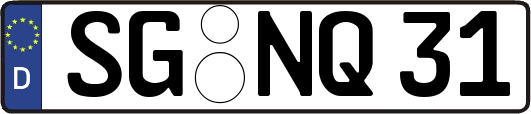 SG-NQ31