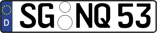 SG-NQ53