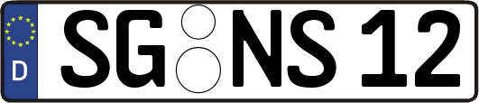 SG-NS12