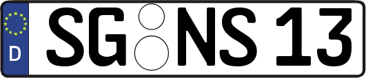 SG-NS13