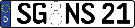 SG-NS21