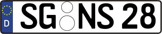 SG-NS28