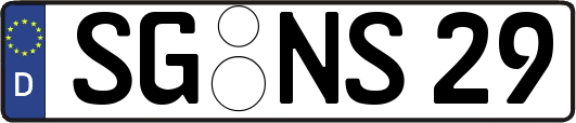 SG-NS29