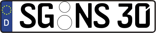 SG-NS30