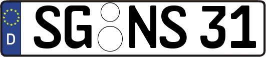 SG-NS31