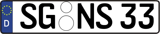 SG-NS33