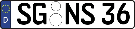SG-NS36