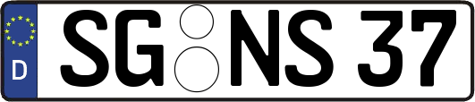 SG-NS37