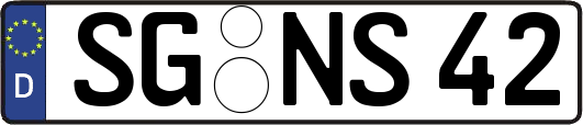 SG-NS42
