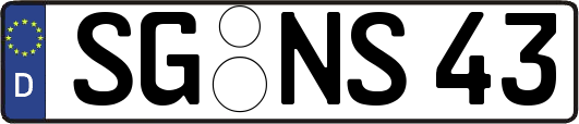 SG-NS43