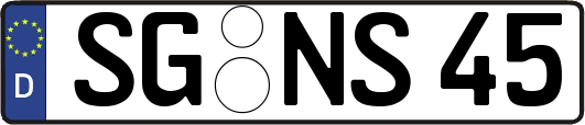 SG-NS45