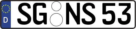 SG-NS53