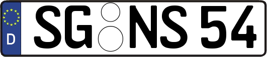 SG-NS54