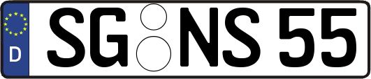 SG-NS55
