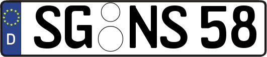 SG-NS58