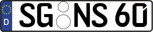 SG-NS60