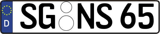 SG-NS65