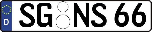 SG-NS66