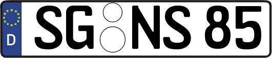 SG-NS85