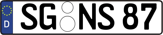 SG-NS87