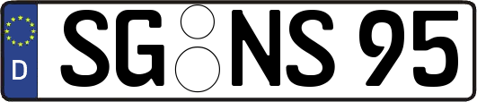 SG-NS95