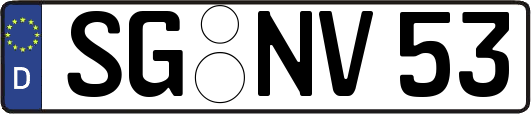 SG-NV53