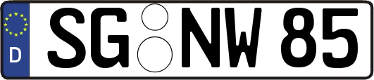 SG-NW85