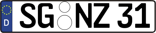 SG-NZ31