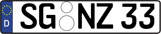 SG-NZ33