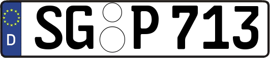 SG-P713